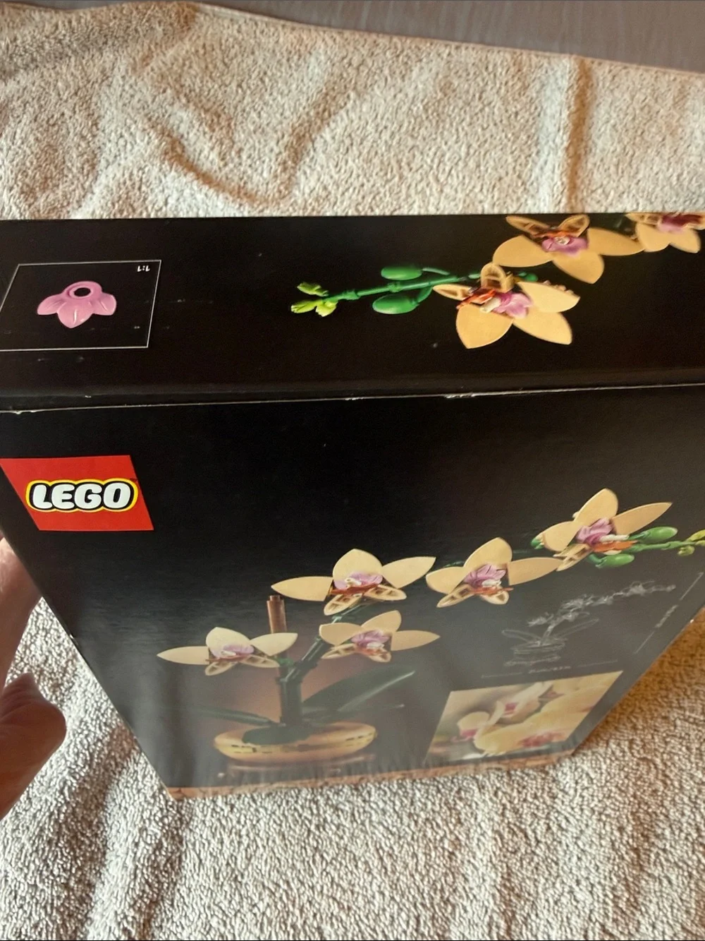 LEGO Mini Orchid Botanical Set - Green and Cream Unopened